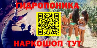 ешки Гусь-Хрустальный