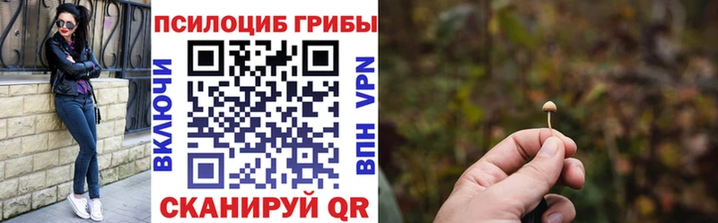 Галлюциногенные грибы прущие грибы кракен как зайти Канаш купить наркотик