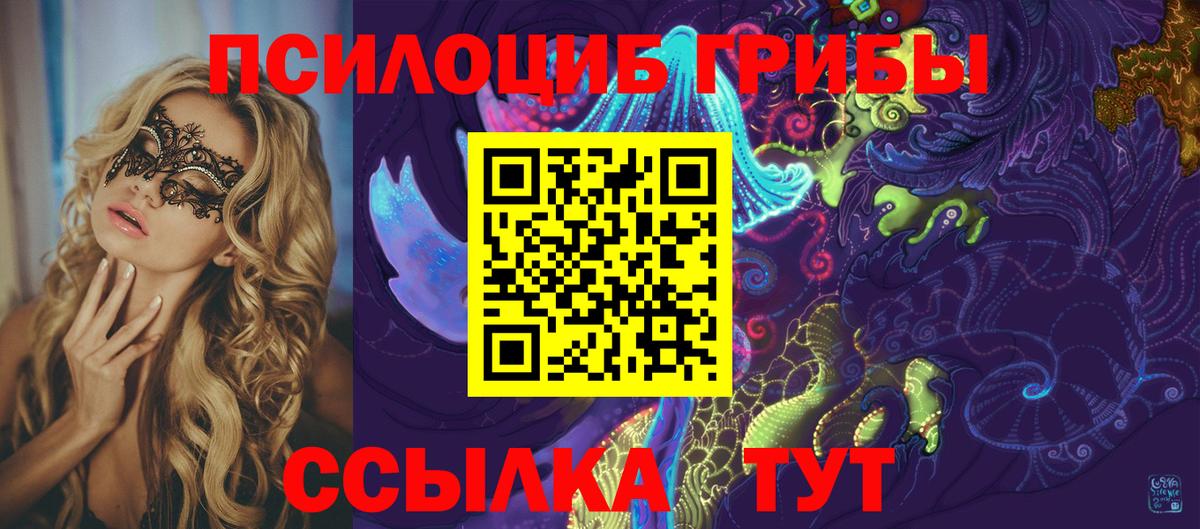 Псилоцибиновые грибы мицелий  Псилоцибиновые грибы Cubensis  Канаш 