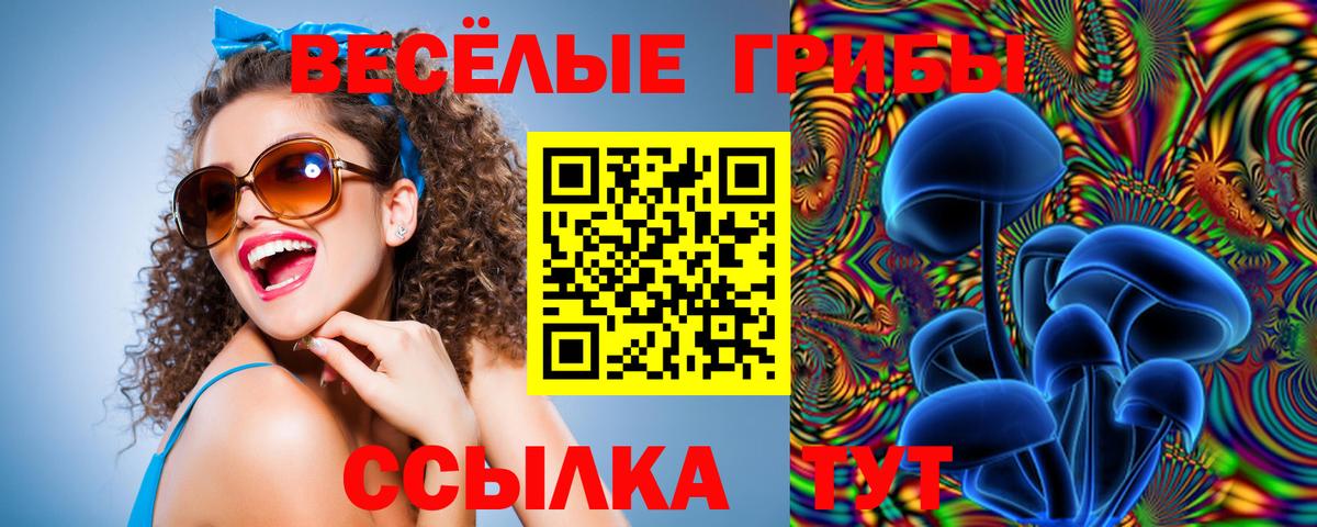 Галлюциногенные грибы прущие грибы  купить наркоту  Канаш  Вход с VPN 